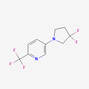 5-(3,3-Difluoropyrrolidin-1-yl)-2-(trifluoromethyl)pyridine