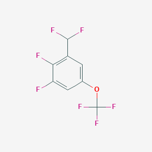 molecular formula C8H3F7O B1411629 2,3-Difluoro-5-(trifluoromethoxy)benzodifluoride CAS No. 1806372-49-5