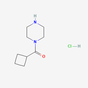 molecular formula C9H17ClN2O B1411769 1-(Cyclobutylcarbonyl)piperazine hydrochloride CAS No. 1428443-87-1