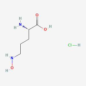 (S)-2-amino-5-(hydroxyamino)pentanoic acid hydrochloride