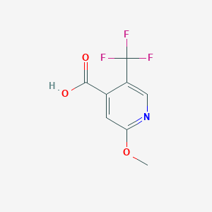 molecular formula C8H6F3NO3 B1411779 2-Methoxy-5-(trifluoromethyl)isonicotinic acid CAS No. 1227516-73-5