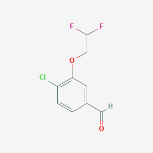 molecular formula C9H7ClF2O2 B1411865 4-Chloro-3-(2,2-difluoroethoxy)benzaldehyde CAS No. 2168815-73-2