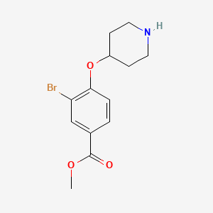 molecular formula C13H16BrNO3 B1411868 3-Bromo-4-(piperidin-4-yloxy)benzoic acid methyl ester CAS No. 2120575-14-4