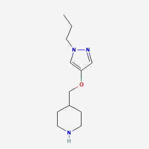 molecular formula C12H21N3O B1411916 4-(1-Propyl-1H-pyrazol-4-yloxymethyl)-piperidine CAS No. 1597258-74-6