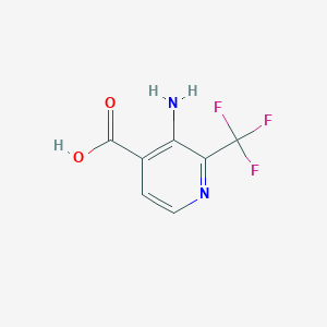 molecular formula C7H5F3N2O2 B1412052 3-氨基-2-(三氟甲基)异烟酸 CAS No. 1227598-54-0