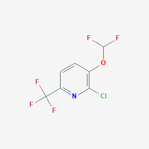 molecular formula C7H3ClF5NO B1412078 2-氯-3-二氟甲氧基-6-(三氟甲基)吡啶 CAS No. 1228897-80-0
