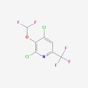 molecular formula C7H2Cl2F5NO B1412097 2,4-二氯-3-二氟甲氧基-6-(三氟甲基)吡啶 CAS No. 1228897-92-4