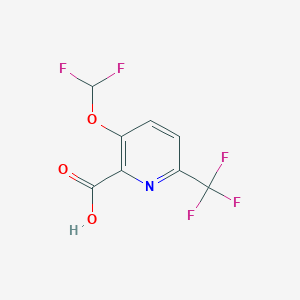 B1412098 3-Difluoromethoxy-6-(trifluoromethyl)pyridine-2-carboxylic acid CAS No. 1227582-84-4