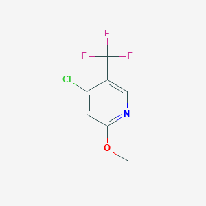 molecular formula C7H5ClF3NO B1412116 4-氯-2-甲氧基-5-(三氟甲基)吡啶 CAS No. 1227594-11-7