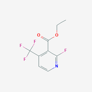 B1412216 Ethyl 2-fluoro-4-(trifluoromethyl)nicotinate CAS No. 1227576-05-7