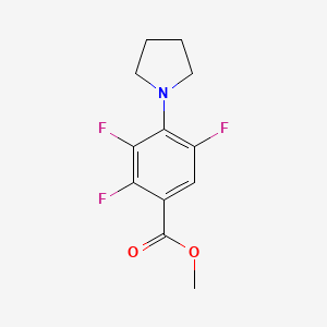 molecular formula C12H12F3NO2 B1412306 Methyl 2,3,5-trifluoro-4-pyrrolidin-1-ylbenzoate CAS No. 1858257-29-0