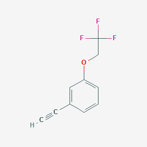 molecular formula C10H7F3O B1412309 3-(2,2,2-Trifluoroethoxy)phenylacetylene CAS No. 1823642-13-2