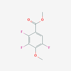 molecular formula C9H7F3O3 B1412318 Methyl 2,3,5-trifluoro-4-methoxybenzoate CAS No. 1656263-44-3