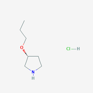 molecular formula C7H16ClNO B14123754 (R)-3-Propoxy-pyrrolidine HCl 