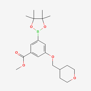 3-(Tetrahydropyran-4-ylmethoxy)-5-(4,4,5,5-tetramethyl-[1,3,2]dioxaborolan-2-yl)-benzoic acid methyl ester