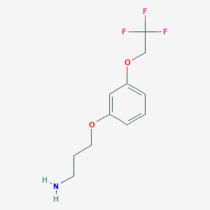 molecular formula C11H14F3NO2 B1412640 3-[3-(2,2,2-三氟乙氧基)苯氧基]丙胺 CAS No. 2206609-85-8