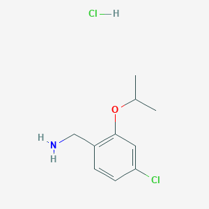 molecular formula C10H15Cl2NO B1412693 [4-氯-2-(丙-2-氧基)苯基]甲胺盐酸盐 CAS No. 2094692-85-8