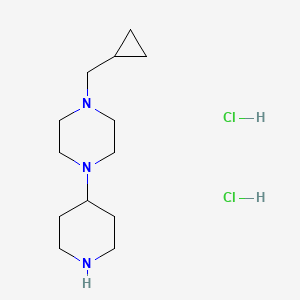 molecular formula C13H27Cl2N3 B1412729 1-(Cyclopropylmethyl)-4-(piperidin-4-yl)piperazine dihydrochloride CAS No. 2203016-78-6