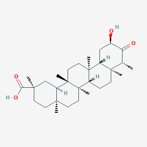 molecular formula C30H48O4 B14128409 Wilfolic acid C CAS No. 158629-70-0