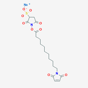 molecular formula C19H25N2NaO9S B014129 11-Maleimidoundecanoic Acid Sulfo-N-Succinimidyl Ester CAS No. 211236-68-9