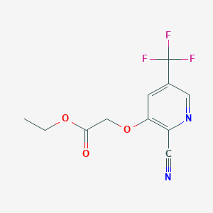 molecular formula C11H9F3N2O3 B1412931 乙酸[2-氰基-5-(三氟甲基)-吡啶-3-基]氧基乙酯 CAS No. 1992985-72-4