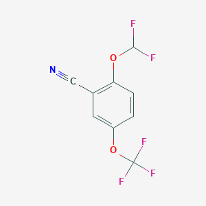 B1412967 2-Difluoromethoxy-5-(trifluoromethoxy)benzonitrile CAS No. 1803792-09-7