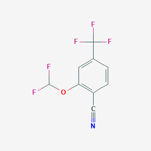 B1412973 2-Difluoromethoxy-4-(trifluoromethyl)benzonitrile CAS No. 1803850-79-4