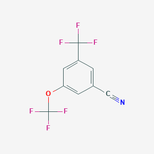 molecular formula C9H3F6NO B1413000 3-Trifluoromethoxy-5-(trifluoromethyl)benzonitrile CAS No. 1804454-53-2