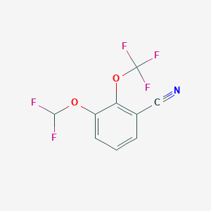 B1413030 3-Difluoromethoxy-2-(trifluoromethoxy)benzonitrile CAS No. 1804881-71-7