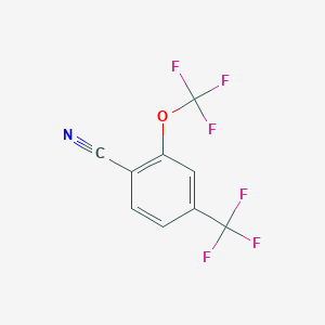 molecular formula C9H3F6NO B1413105 2-Trifluoromethoxy-4-(trifluoromethyl)benzonitrile CAS No. 1806530-49-3