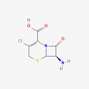 molecular formula C7H7ClN2O3S B14132301 7-Amino-3-chlorocephalosporanic Acid 