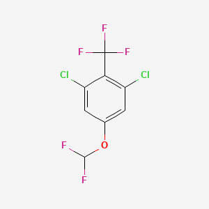 molecular formula C8H3Cl2F5O B1413271 2,6-Dichloro-4-(difluoromethoxy)benzotrifluoride CAS No. 1807036-42-5