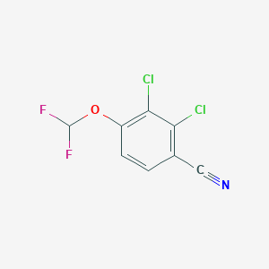 molecular formula C8H3Cl2F2NO B1413273 2,3-Dichloro-4-(difluoromethoxy)benzonitrile CAS No. 1803788-55-7