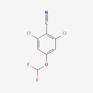 molecular formula C8H3Cl2F2NO B1413295 2,6-Dichloro-4-(difluoromethoxy)benzonitrile CAS No. 1806301-26-7