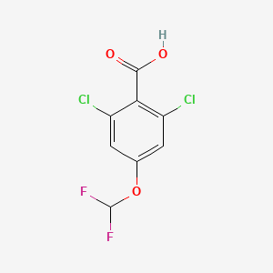 molecular formula C8H4Cl2F2O3 B1413311 2,6-Dichloro-4-(difluoromethoxy)benzoic acid CAS No. 1806349-12-1