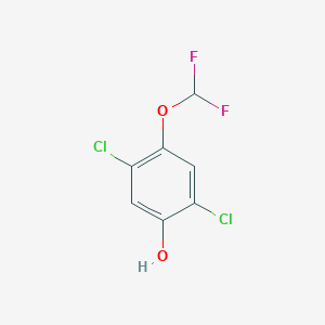 molecular formula C7H4Cl2F2O2 B1413335 2,5-Dichloro-4-(difluoromethoxy)phenol CAS No. 1807178-21-7