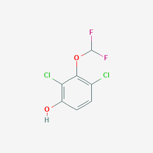 molecular formula C7H4Cl2F2O2 B1413366 2,4-二氯-3-(二氟甲氧基)苯酚 CAS No. 1806352-09-9