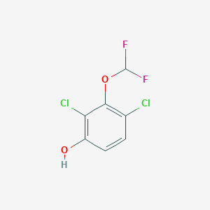 2,4-Dichloro-3-(difluoromethoxy)phenol