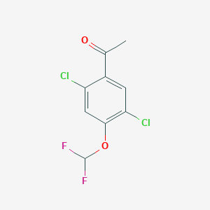 molecular formula C9H6Cl2F2O2 B1413374 2',5'-Dichloro-4'-(difluoromethoxy)acetophenone CAS No. 1803786-58-4
