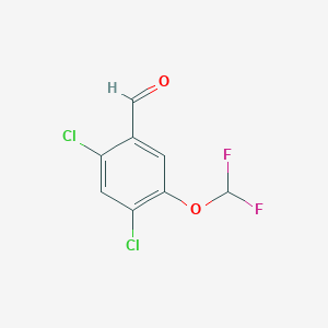 molecular formula C8H4Cl2F2O2 B1413378 2,4-Dichloro-5-(difluoromethoxy)benzaldehyde CAS No. 1803787-09-8