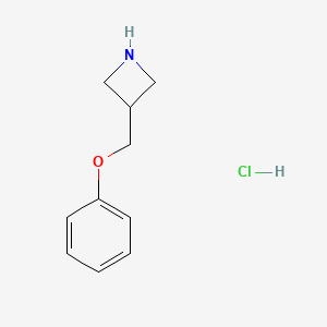 molecular formula C10H14ClNO B1413382 3-(Phenoxymethyl)azetidine hydrochloride CAS No. 1803607-42-2