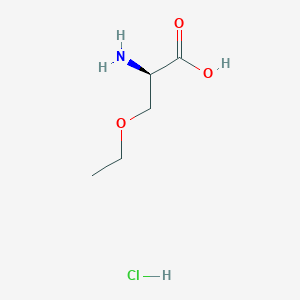 (2R)-2-amino-3-ethoxypropanoic acid hydrochloride