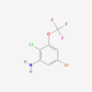 molecular formula C7H4BrClF3NO B1413515 5-Bromo-2-chloro-3-(trifluoromethoxy)aniline CAS No. 1804906-11-3