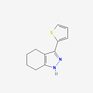 molecular formula C11H12N2S B1413529 3-thiophen-2-yl-4,5,6,7-tetrahydro-1H-indazole CAS No. 1141935-45-6