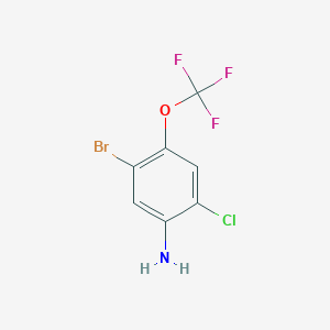 molecular formula C7H4BrClF3NO B1413533 5-Bromo-2-chloro-4-(trifluoromethoxy)aniline CAS No. 1807029-11-3