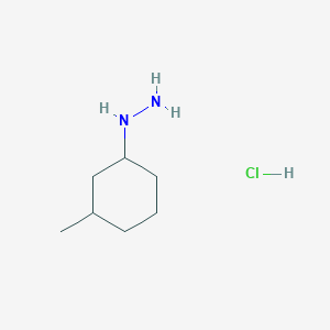 (3-Methylcyclohexyl)hydrazine hydrochloride