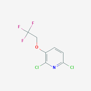 molecular formula C7H4Cl2F3NO B1413588 2,6-Dichloro-3-(2,2,2-trifluoroethoxy)pyridine CAS No. 2203716-06-5