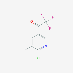 molecular formula C8H5ClF3NO B1413808 1-(6-Chloro-5-methylpyridin-3-yl)-2,2,2-trifluoroethanone CAS No. 1935574-78-9