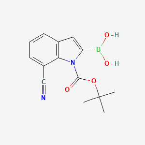 molecular formula C14H15BN2O4 B1414181 [7-Cyano-1-[(2-methylpropan-2-yl)oxycarbonyl]indol-2-yl]boronic acid CAS No. 1445797-33-0