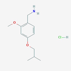 molecular formula C12H20ClNO2 B1414263 4-异丁氧基-2-甲氧基苯甲胺盐酸盐 CAS No. 2203940-72-9